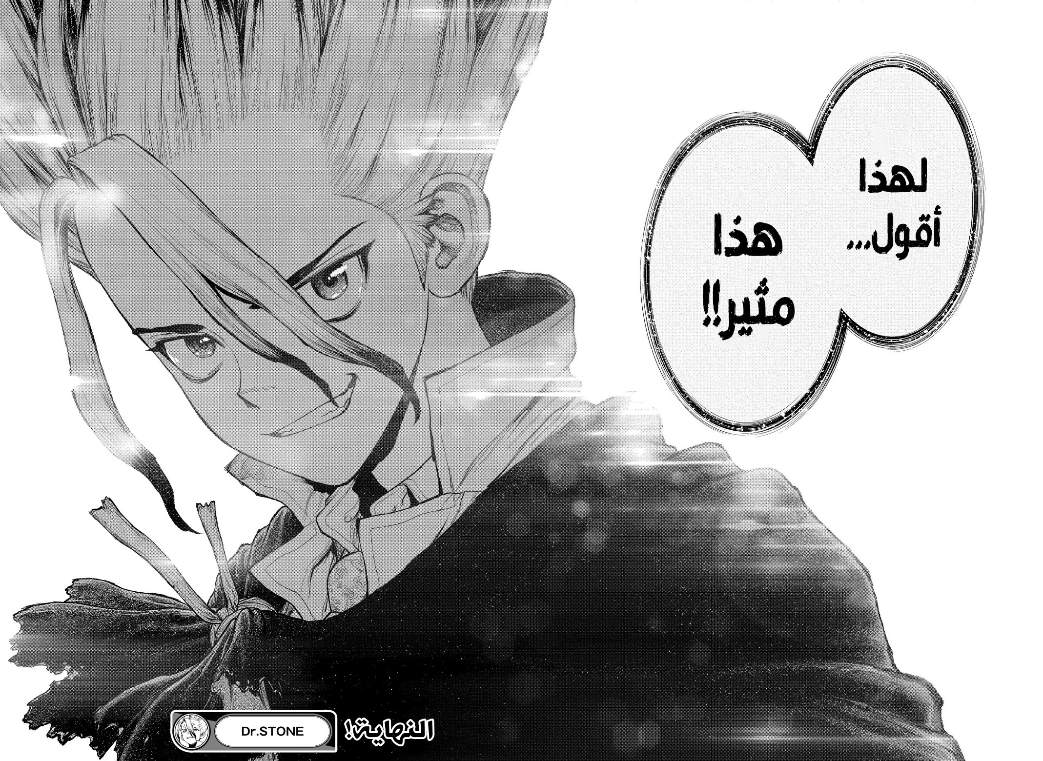 Dr. Stone, 232 الفصل الأخير - د. ستون, page 21