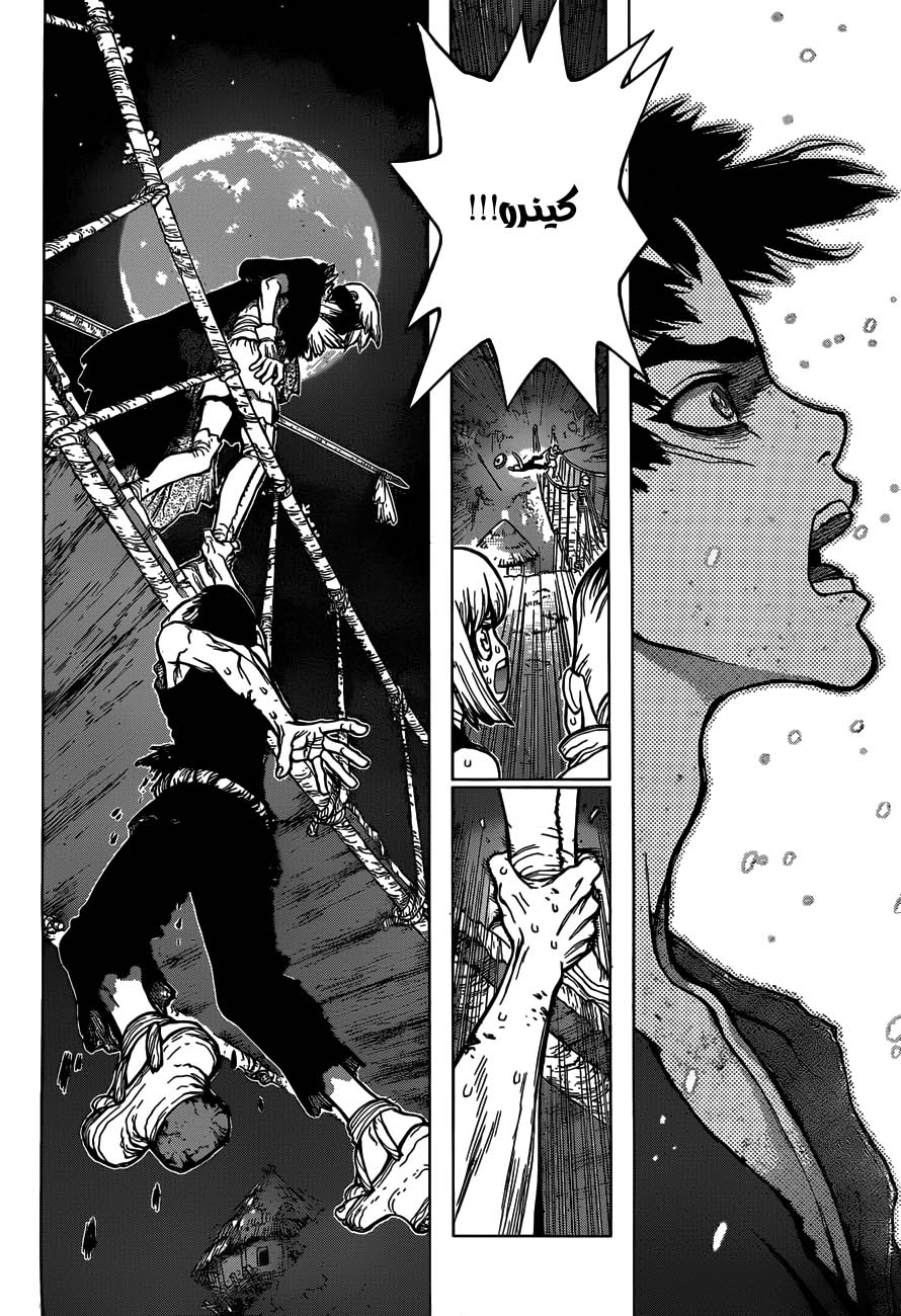Dr. Stone, 46: الحروب الحجرية, page 12