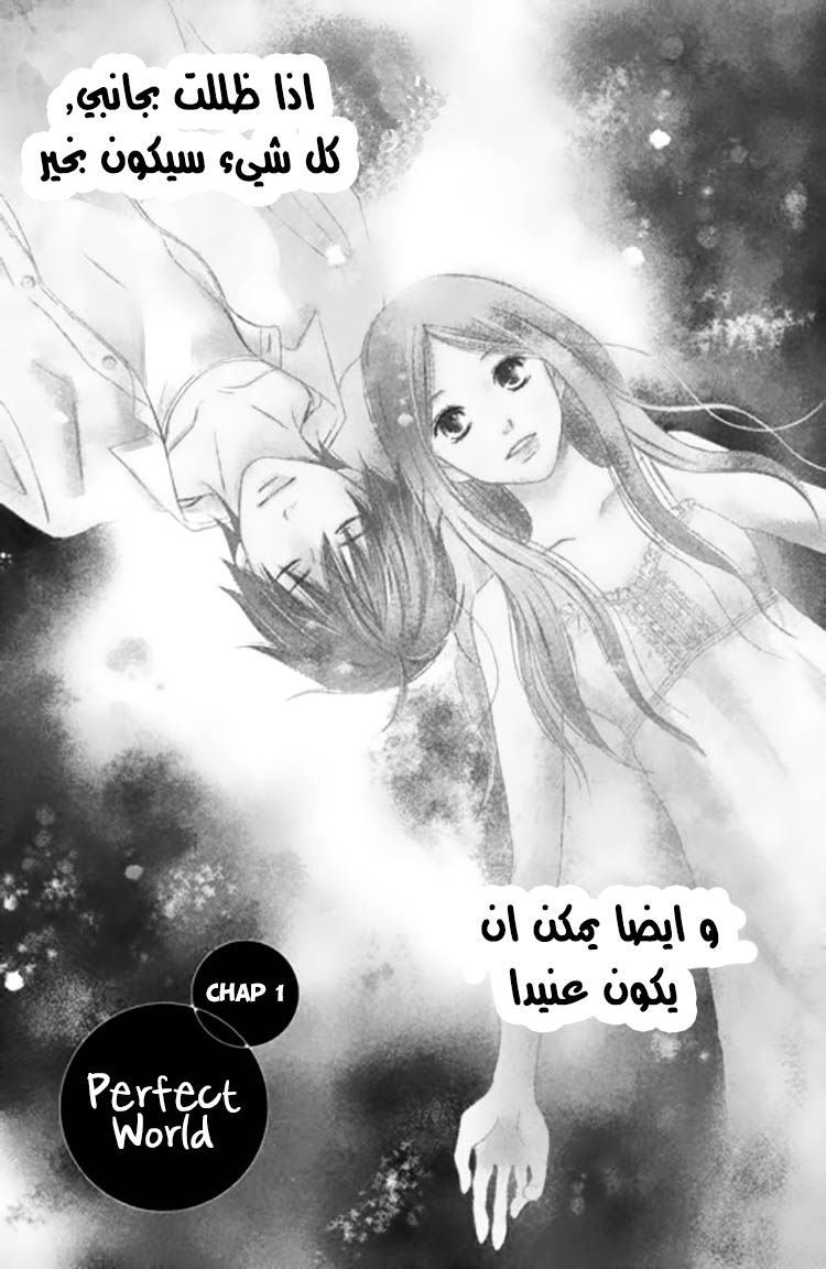 Perfect World, 1: عالم مثالي, page 3