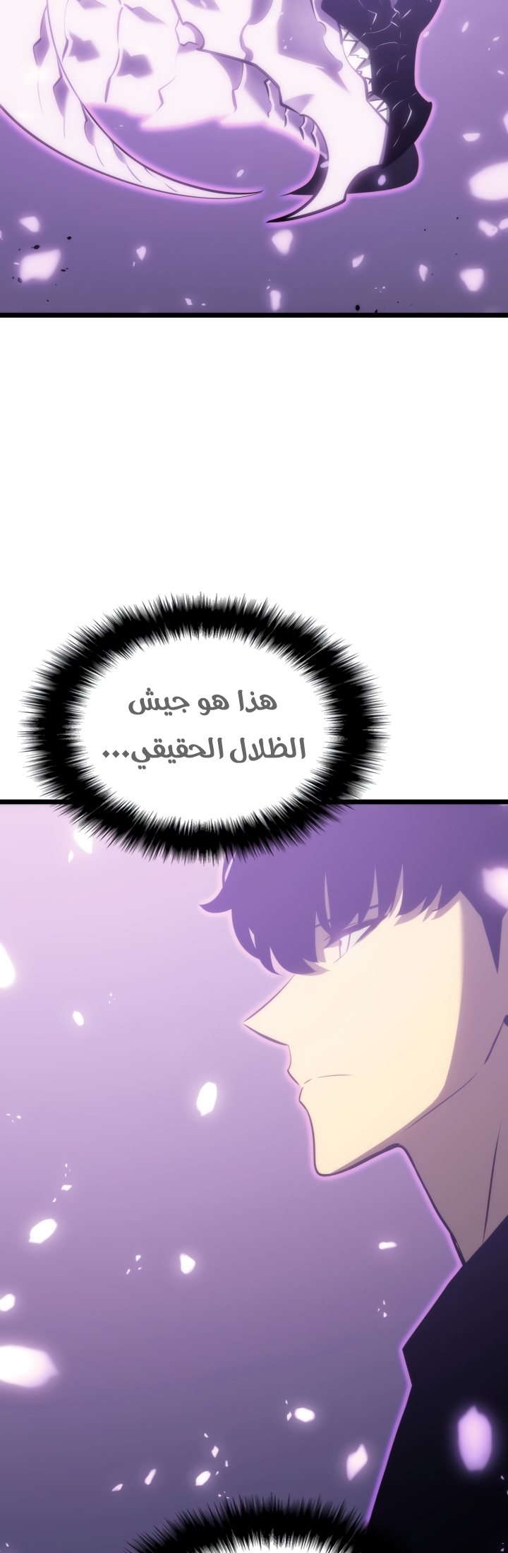 Solo Leveling, 167, page 27