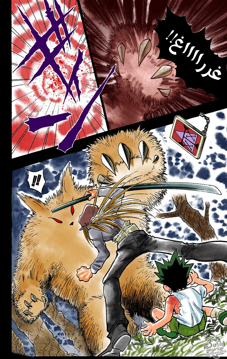 Hunter X Hunter – colored, 1 - يوم الرحيل, page 19