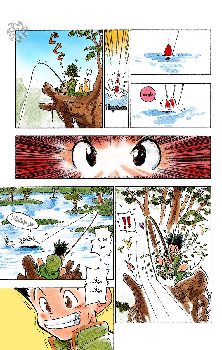 Hunter X Hunter – colored, 1 - يوم الرحيل, page 10