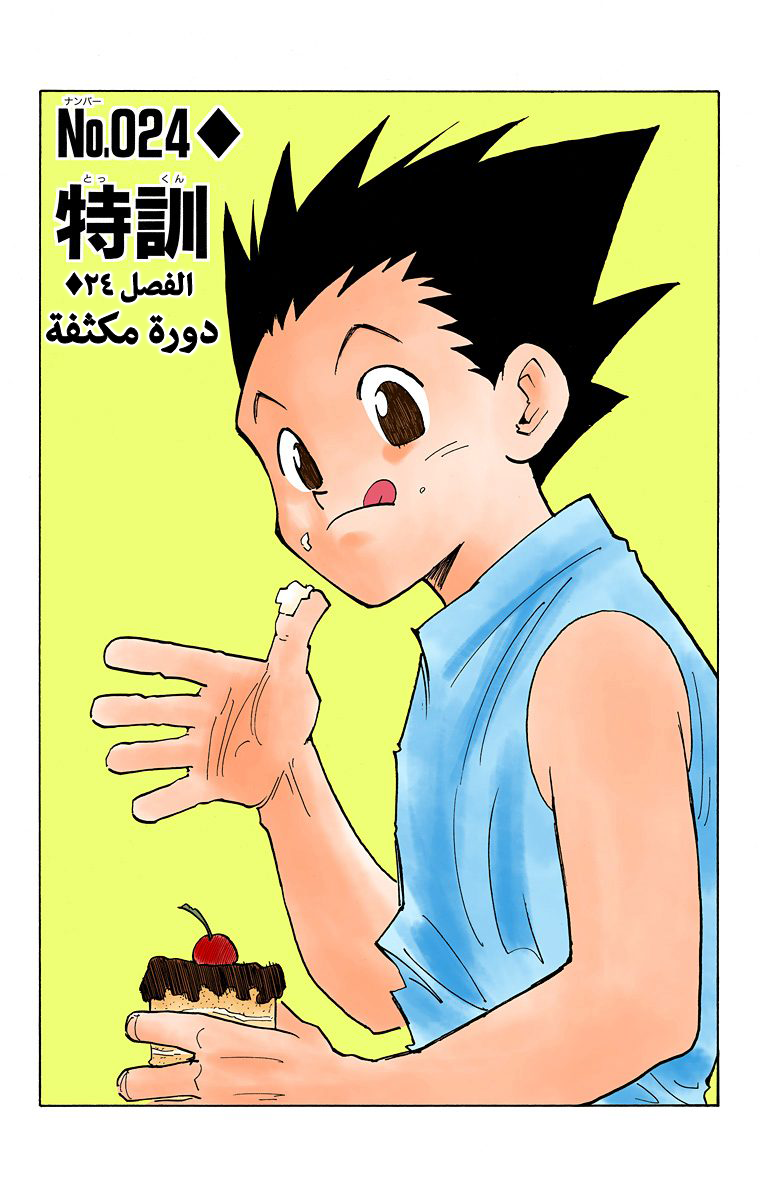 Hunter X Hunter – colored, 24, page 2