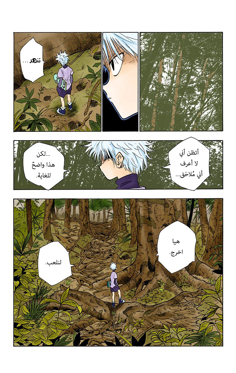 Hunter X Hunter – colored, 26, page 5