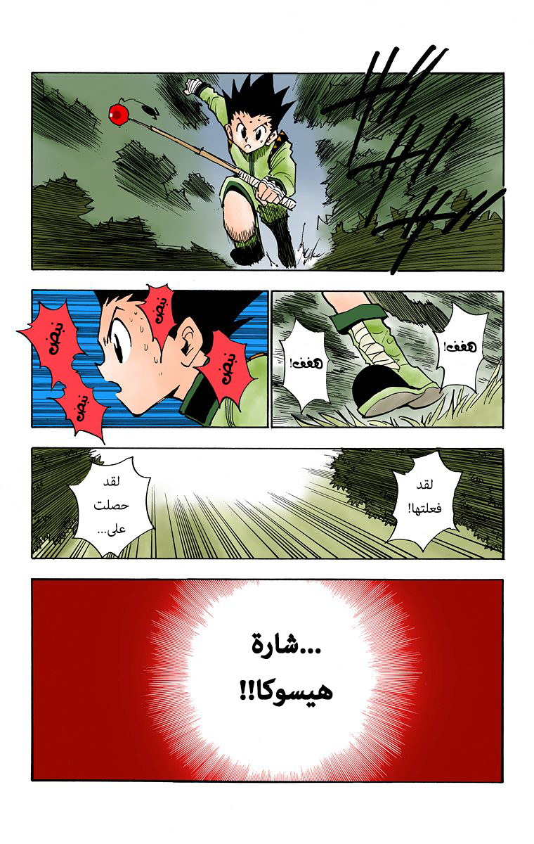Hunter X Hunter – colored, 28, page 9