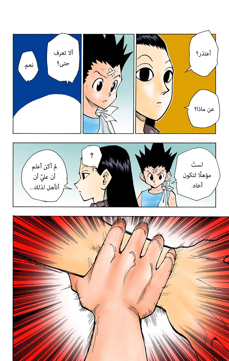 Hunter X Hunter – colored, 37, page 4