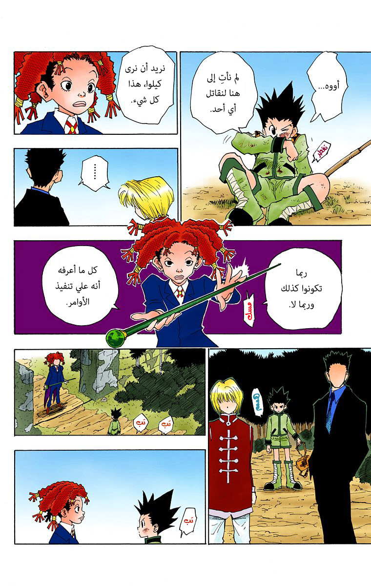 Hunter X Hunter – colored, 41, page 8