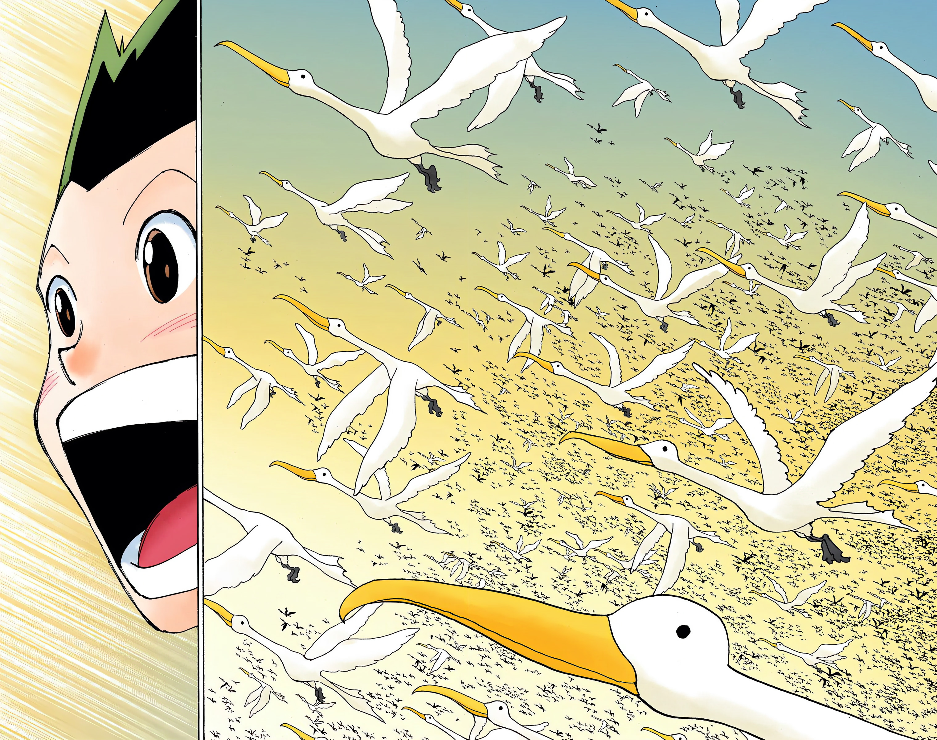 Hunter X Hunter – colored, 339 - سكون, page 8