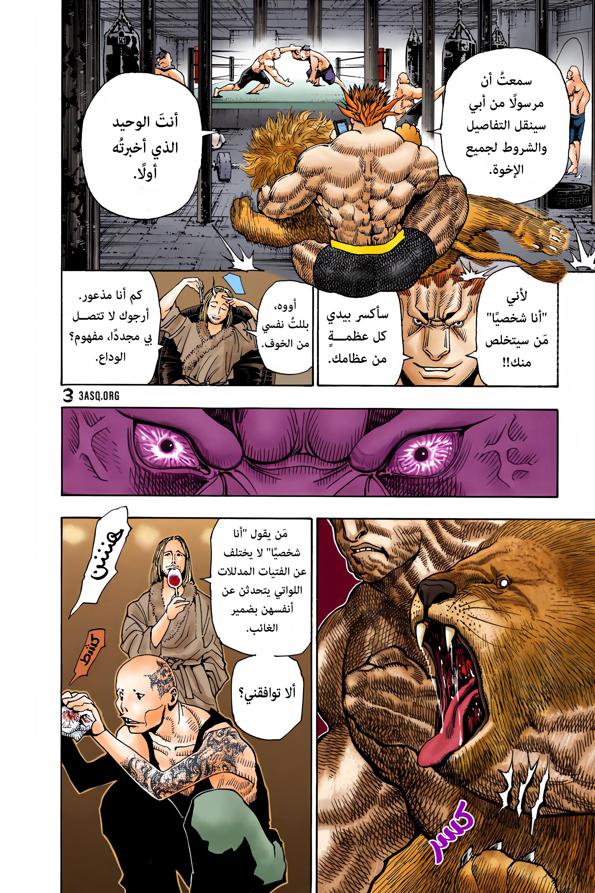 Hunter X Hunter – colored, 348 - عزيمة, page 8