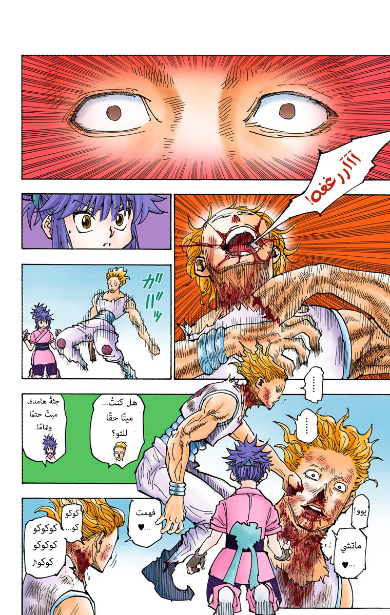 Hunter X Hunter – colored, 357, page 9