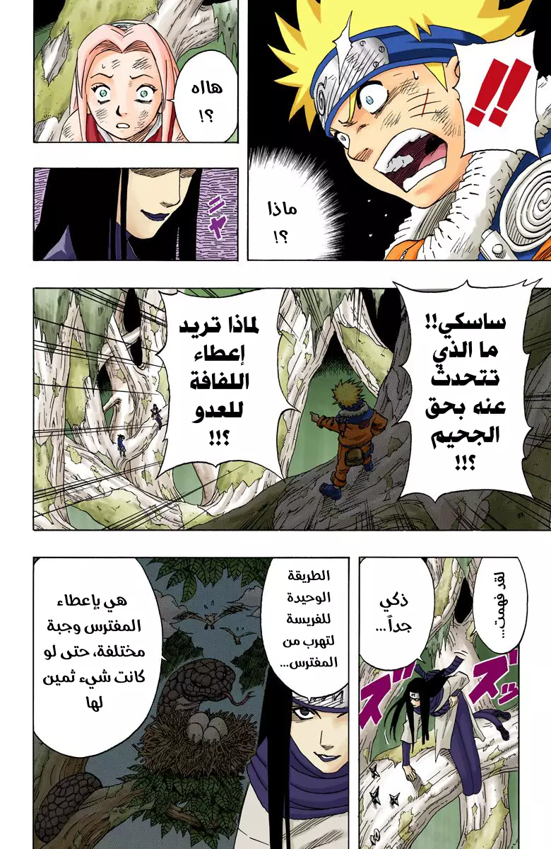 Naruto – Digital Colored, 48 - الهدف هو...!!, page 6