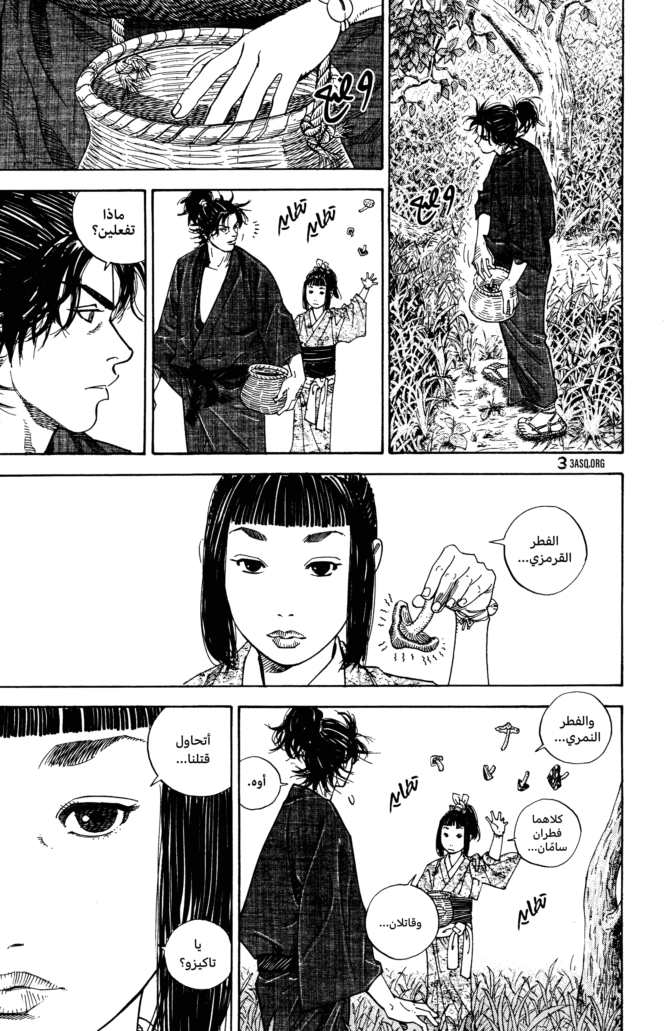 Vagabond, 2 - أكيمي, page 9