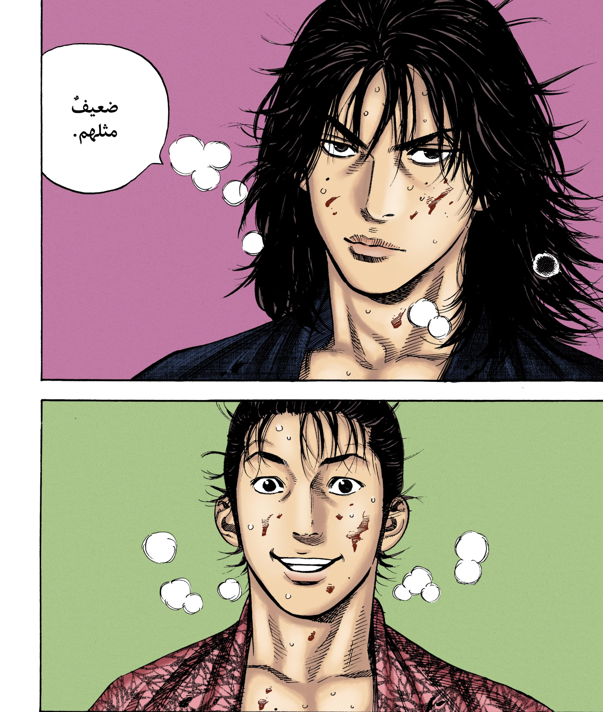 Vagabond, 5 - لهوٌ دموي, page 20