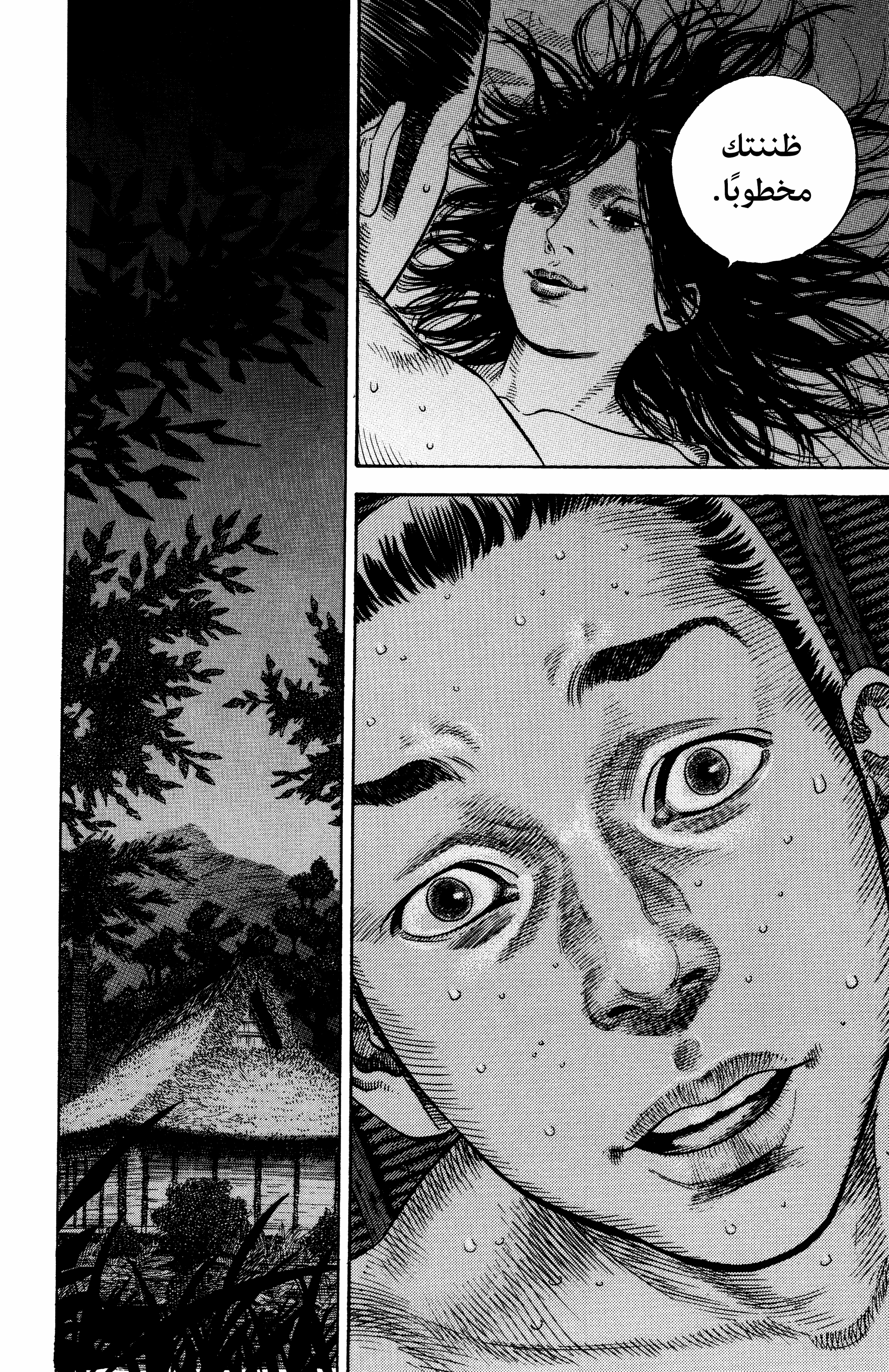 Vagabond, 6 - هموم هونيدن ماتاهاتشي ذو السابعة عشر, page 11