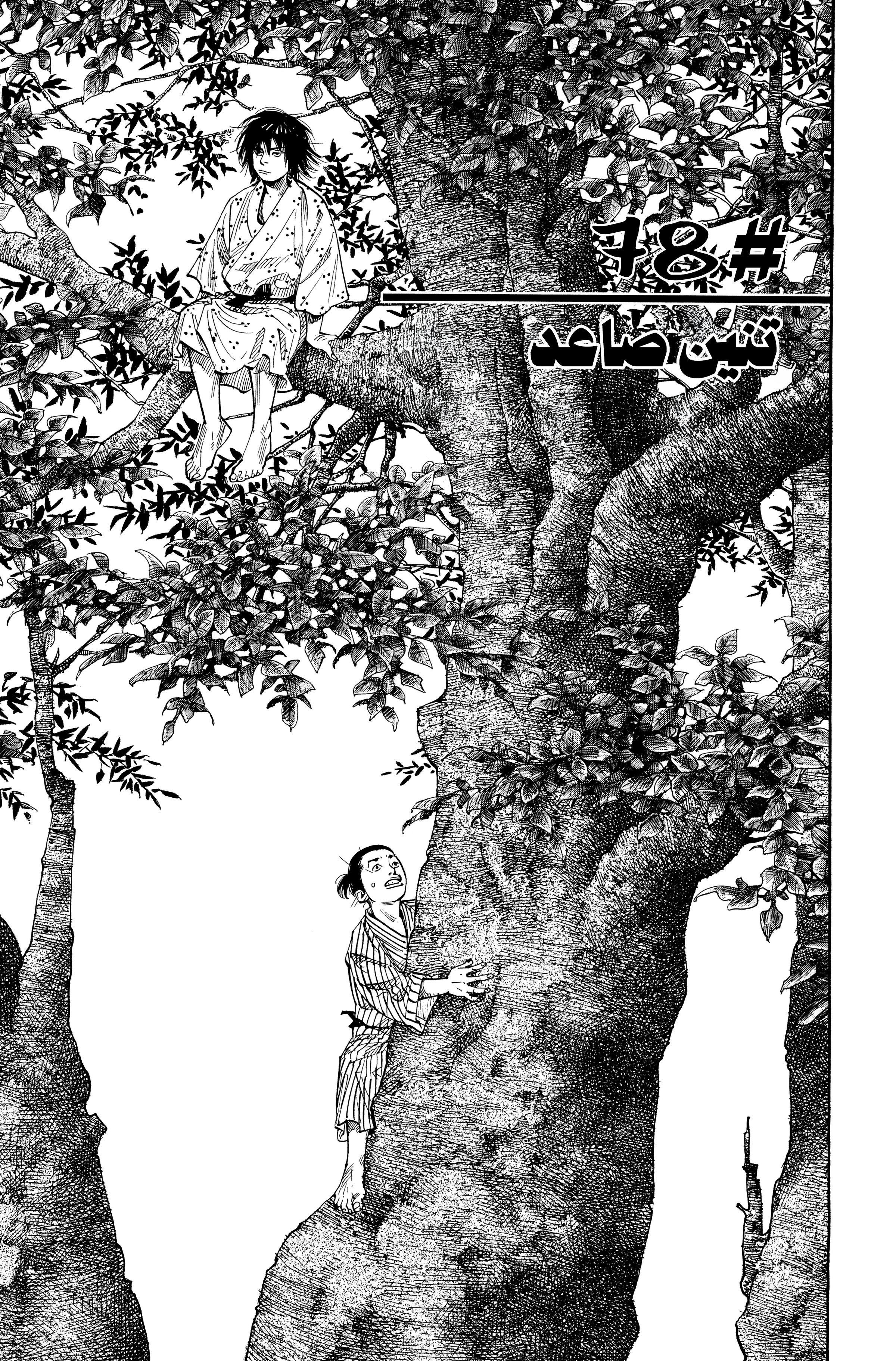 Vagabond, 78 - تنين صاعد, page 1