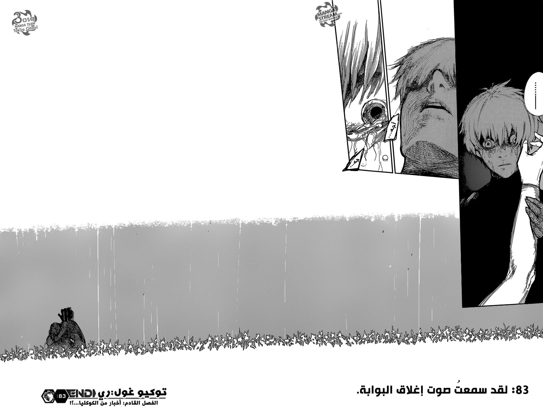 Tokyo Ghoul: re, 83 - لقد سمعت صوت إغلاق البوابة, page 17