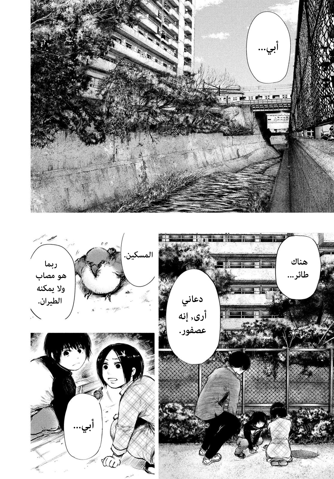 Tokyo Ghoul, 70 - اخ واخت, page 8