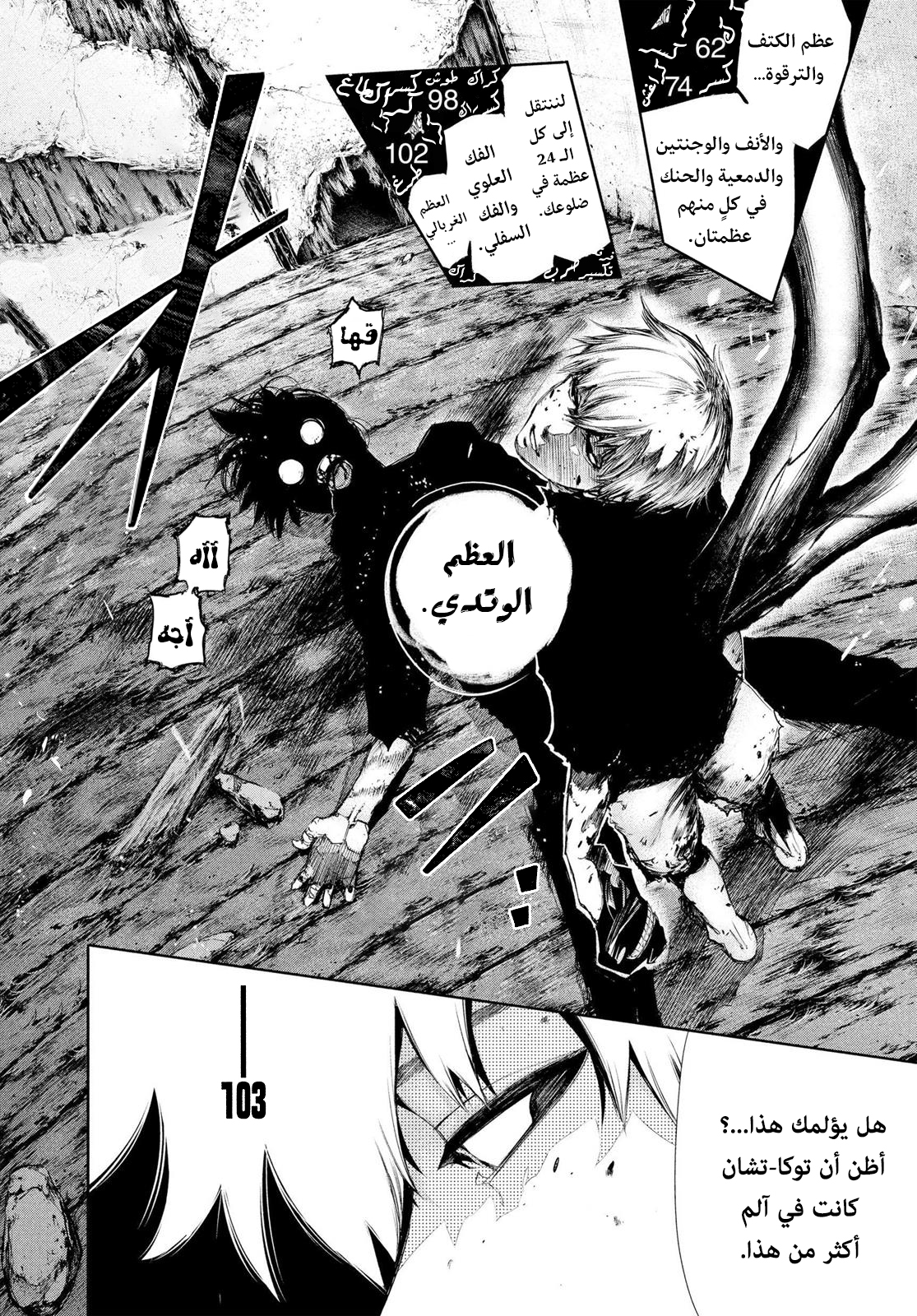 Tokyo Ghoul, 75 - سر, page 17