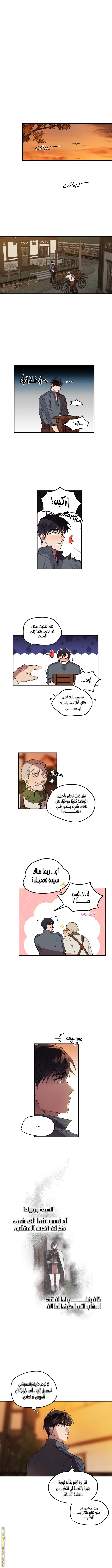 The spark in your eyes (مترجم), Chapter 2, page 9