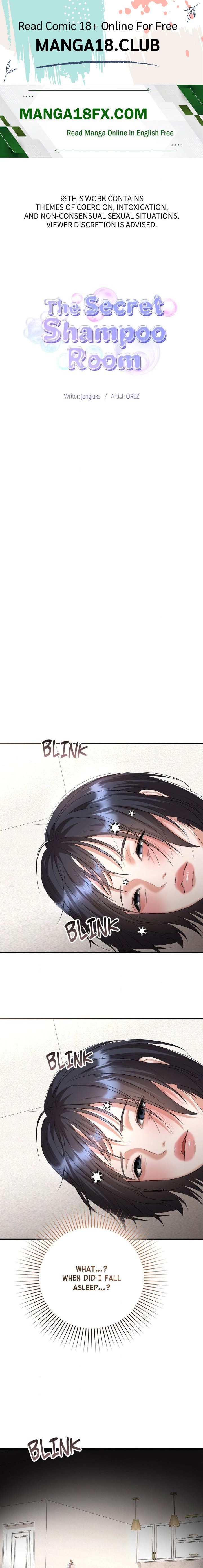 The Secret Shampoo Room, Chapter 27, page 1