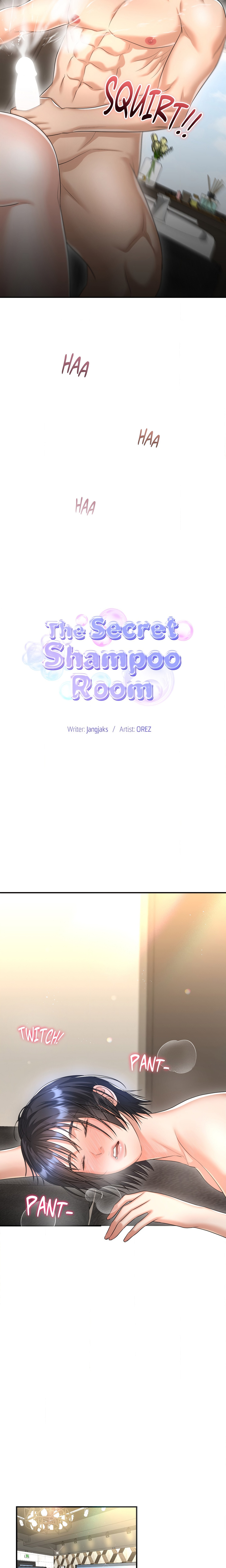 The Secret Shampoo Room, Chapter 7, page 12
