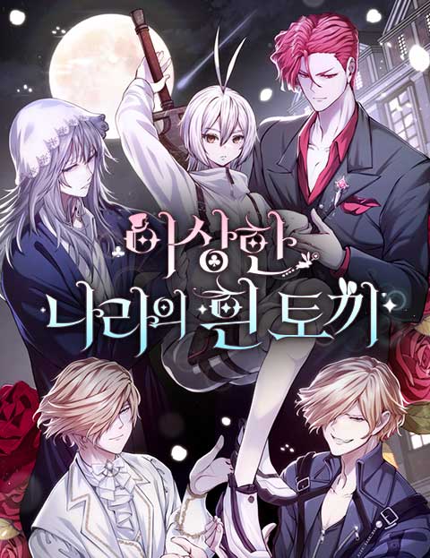 White Rabbit in Wonderland cover